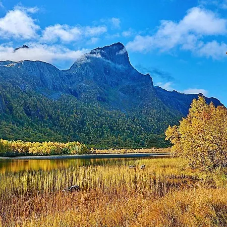 Hamaroy Lägenhet Egedalen