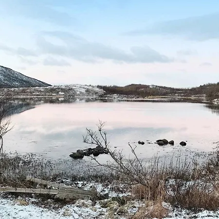 Hamaroy * Egedalen